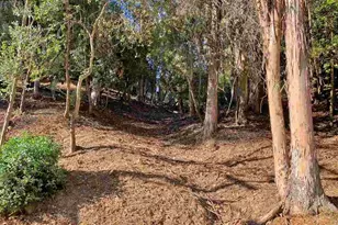 6696 Moore Dr, Oakland, CA 94611 - Photo 5