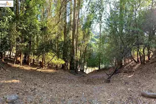 6696 Moore Dr, Oakland, CA 94611 - Photo 7