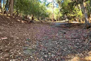 6696 Moore Dr, Oakland, CA 94611 - Photo 3