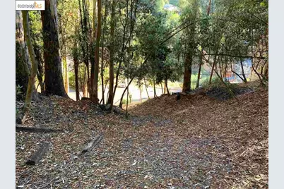 6696 Moore Dr, Oakland, CA 94611 - Photo 9