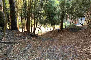 6696 Moore Dr, Oakland, CA 94611 - Photo 9