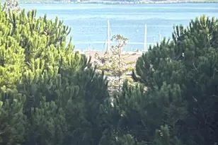 119 Lincoln Dr, Sausalito, CA 94965 - Photo 49