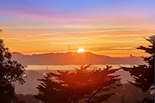 2355 Pelham Pl, Oakland, CA 94611 - Photo 37