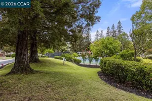 182 Golden Ridge Rd, Alamo, CA 94507 - Photo 57