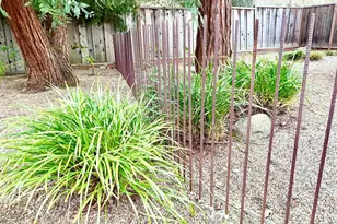 54 Carlos Ct, Walnut Creek, CA 94597 - Photo 7