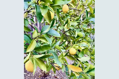 54 Carlos Court, Walnut Creek, CA 94597 - Photo 19