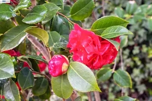 330 Melven Ct, San Leandro, CA 94577 - Photo 47