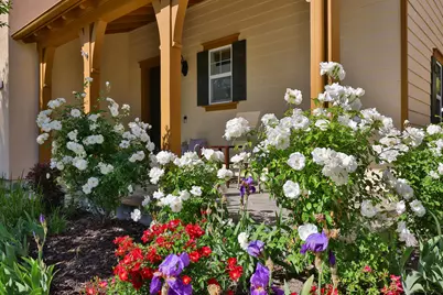 193 Lucy Ln, San Ramon, CA 94582 - Photo 5