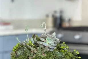 1447 Kains Ave, Berkeley, CA 94702 - Photo 9