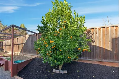 5251 Peony Dr, Livermore, CA 94551 - Photo 29