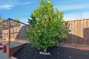 5251 Peony Dr, Livermore, CA 94551 - Photo 29