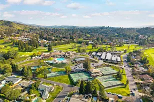 279 Bolla Ave, Alamo, CA 94507 - Photo 51