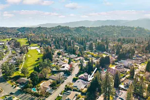 279 Bolla Ave, Alamo, CA 94507 - Photo 53