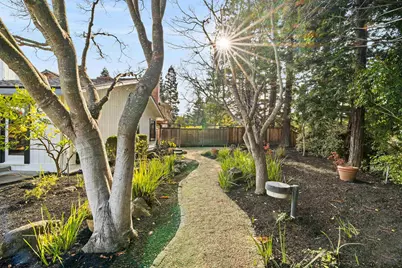 279 Bolla Ave, Alamo, CA 94507 - Photo 47