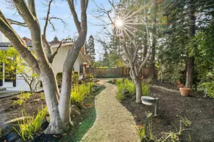 279 Bolla Ave, Alamo, CA 94507 - Photo 47