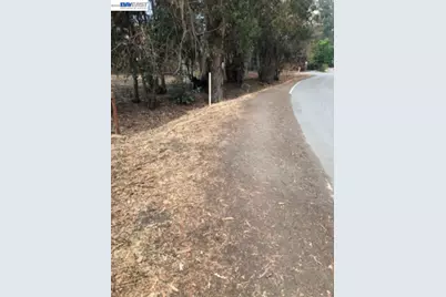 0 Morrison Canyon Rd, Fremont, CA 94536 - Photo 13