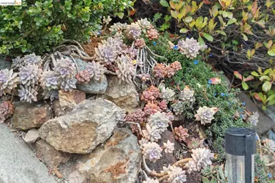 4107 Lyman Rd, Oakland, CA 94602 - Photo 57