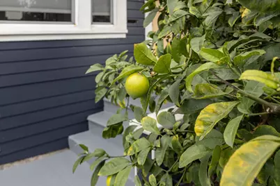 1538 20th Ave, Oakland, CA 94606 - Photo 41