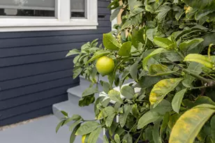 1538 20th Ave, Oakland, CA 94606 - Photo 41