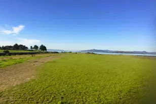 1250 Powell St, Emeryville, CA 94608 - Photo 31