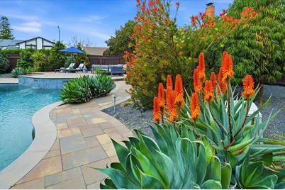 12232 Toluca Dr, San Ramon, CA 94583 - Photo 49