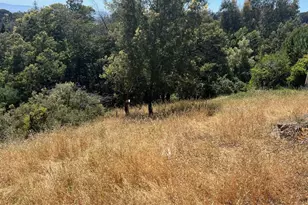 3257 Monterey Blvd, Oakland, CA 94602 - Photo 19