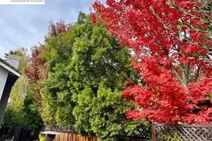 3421 Blackhawk Meadow Dr, Danville, CA 94506 - Photo 23