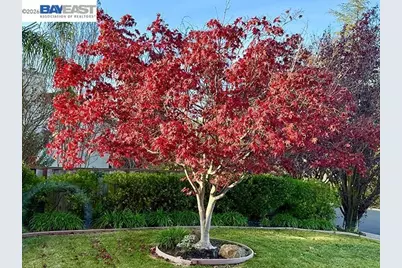 3421 Blackhawk Meadow Drive, Danville, CA 94506 - Photo 19