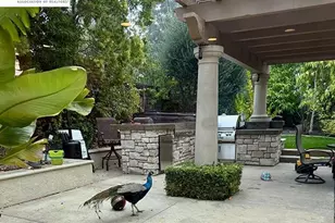 3421 Blackhawk Meadow Dr, Danville, CA 94506 - Photo 21