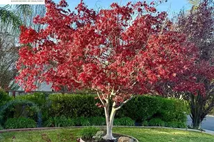 3421 Blackhawk Meadow Dr, Danville, CA 94506 - Photo 25