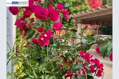 3421 Blackhawk Meadow Drive, Danville, CA 94506 - Photo 13