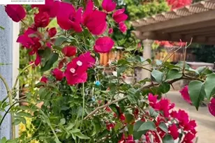 3421 Blackhawk Meadow Dr, Danville, CA 94506 - Photo 13