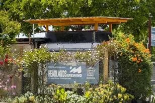 1436 Delaware St, Berkeley, CA 94702 - Photo 57