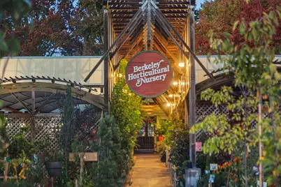 1436 Delaware St, Berkeley, CA 94702 - Photo 33