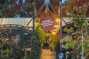 1436 Delaware St, Berkeley, CA 94702 - Photo 33