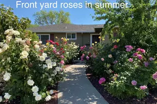 4022 Silver St, Pleasanton, CA 94566 - Photo 41