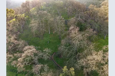 2435 Lunada, Alamo, CA 94507 - Photo 55