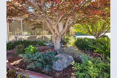 3305 Arcadian Dr, Castro Valley, CA 94546 - Photo 5