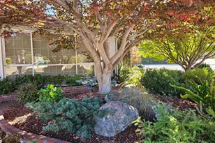 3305 Arcadian Dr, Castro Valley, CA 94546 - Photo 5