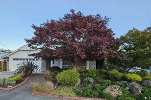 3305 Arcadian Dr, Castro Valley, CA 94546 - Photo 1