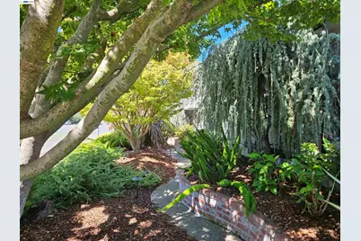 3305 Arcadian Dr, Castro Valley, CA 94546 - Photo 3