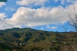 5201 Terra Granada Dr, Walnut Creek, CA 94595 - Photo 31