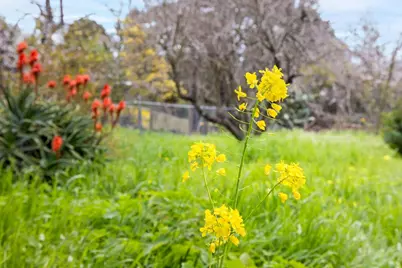 4800 Hilltop Dr, El Sobrante, CA 94803 - Photo 33