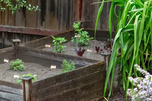 3081 23rd Ave, Oakland, CA 94602 - Photo 39