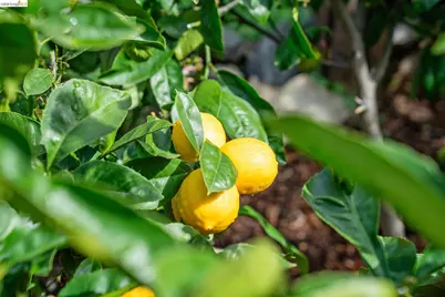 2761 Martin Luther King Jr Ave, Richmond, CA 94804 - Photo 35