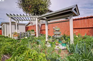 6364 Honeysuckle Dr, Newark, CA 94560 - Photo 25