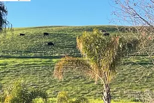 5227 Ramsdell Ct, Antioch, CA 94531 - Photo 57