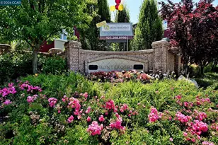 400 Marsanne Ct, Danville, CA 94506 - Photo 39