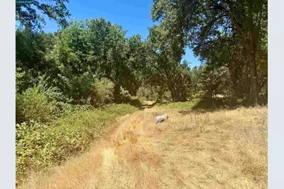 4578 Pretty Good Rd, Placerville, CA 95667 - Photo 15