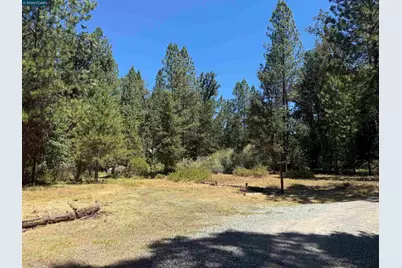 4578 Pretty Good Rd, Placerville, CA 95667 - Photo 5